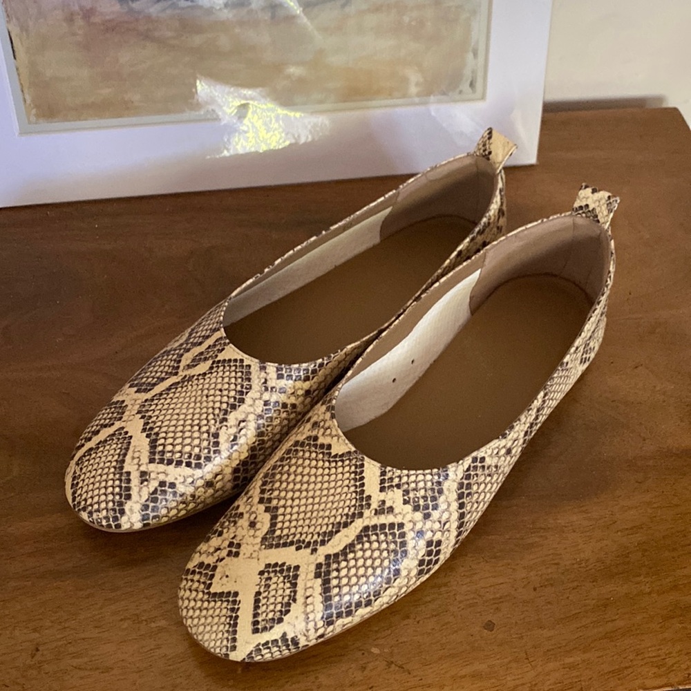 Everlane Italian Leather Day Glove Snakeskin Flats